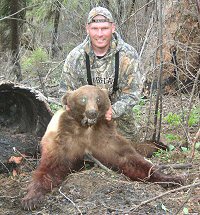 Bear Hunt